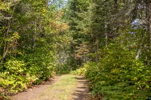 89 Voyageurs Point Rd, Grand Marais, MN 55604 - Photo 21