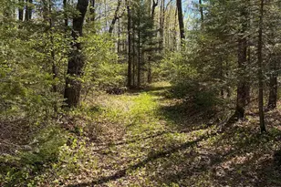 4715 Hefflefinger Rd, Finland, MN 55603 - Photo 25
