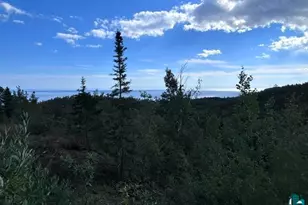 5752 Illgen Bluff Rd, Silver Bay, MN 55614 - Photo 21