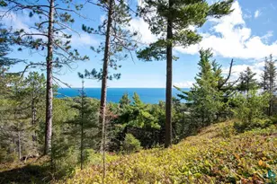 5740 Illgen Bluff Rd, Silver Bay, MN 55614 - Photo 15