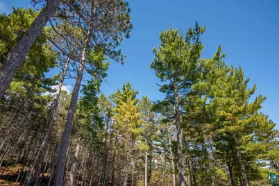 5740 Illgen Bluff Rd, Silver Bay, MN 55614 - Photo 15