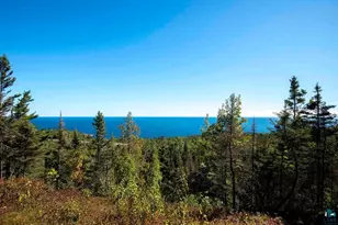 5740 Illgen Bluff Rd, Silver Bay, MN 55614 - Photo 11