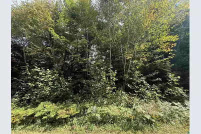 Xxxx Johnson Rd, Floodwood, MN 55736 - Photo 11