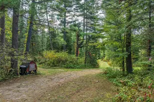 4965 Waisanen Rd, Embarrass, MN 55732 - Photo 37
