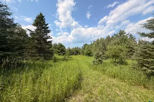 209Xx US Hwy 2, Mason, WI 54856 - Photo 1