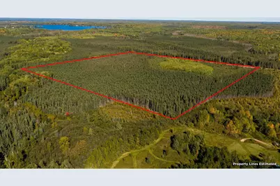 50Xx Caribou Lake Rd, Saginaw, MN 55779 - Photo 5