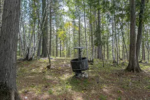 1298 Heather St, Ely, MN 55731 - Photo 57