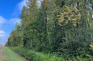 4 44 Acres Lavaque Bypass, Hermantown, MN 55811 - Photo 1