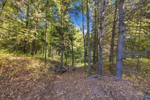65352 Adler Rd, Marengo, WI 54855 - Photo 23