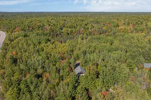 1875 Echo Trail, Ely, MN 55731 - Photo 67