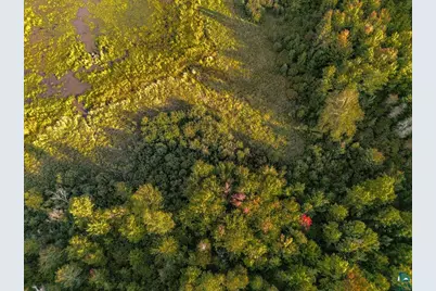 Xxx Crane Lake Rd, Orr, MN 55771 - Photo 5