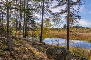 139 Fernberg Rd, Ely, MN 55731 - Photo 77
