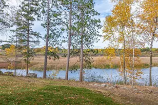 139 Fernberg Rd, Ely, MN 55731 - Photo 57
