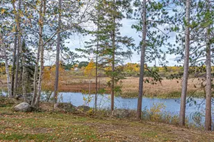 139 Fernberg Rd, Ely, MN 55731 - Photo 59