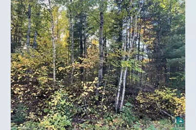 Tbd Lost Lake Rd, Tower, MN 55790 - Photo 11