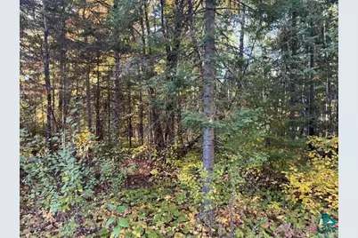 Tbd Lost Lake Rd, Tower, MN 55790 - Photo 3