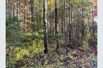 Tbd Lost Lake Rd, Tower, MN 55790 - Photo 5
