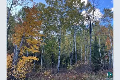 Tbd Lost Lake Rd, Tower, MN 55790 - Photo 13
