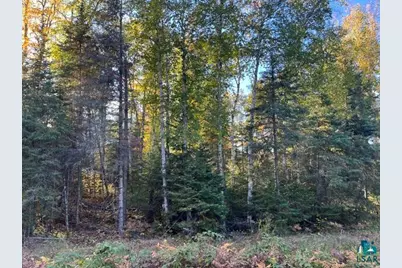 Tbd Lost Lake Rd, Tower, MN 55790 - Photo 9