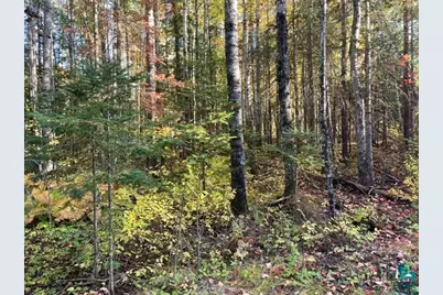 Tbd S Loon Lake Rd, Aurora, MN 55705 - Photo 5
