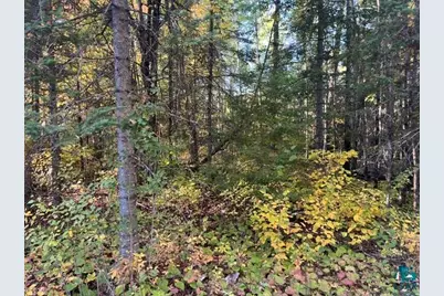 Tbd S Loon Lake Rd, Aurora, MN 55705 - Photo 3