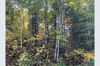 Tbd S Loon Lake Rd, Aurora, MN 55705 - Photo 11