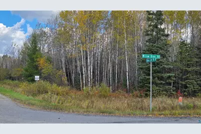 Tbd 28.9 Rangeline Rd, Orr, MN 55771 - Photo 3
