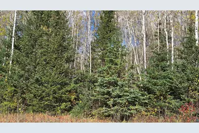 Tbd 28.9 Rangeline Rd, Orr, MN 55771 - Photo 17
