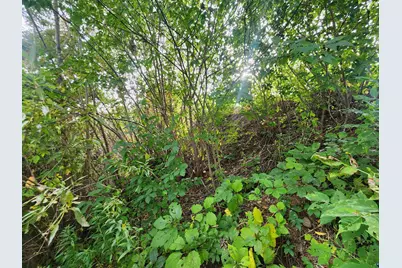 Xxxx Lynde Ave, Bayfield, WI 54814 - Photo 7