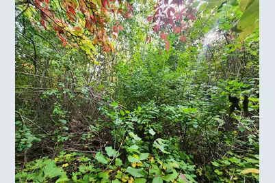 Xxxx Lynde Ave, Bayfield, WI 54814 - Photo 9