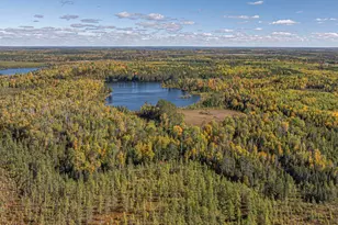 8989 Pulkinen Rd, Embarrass, MN 55732 - Photo 59