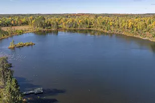 8989 Pulkinen Rd, Embarrass, MN 55732 - Photo 47