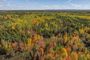 8989 Pulkinen Rd, Embarrass, MN 55732 - Photo 73