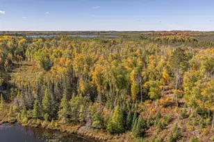 8989 Pulkinen Rd, Embarrass, MN 55732 - Photo 71