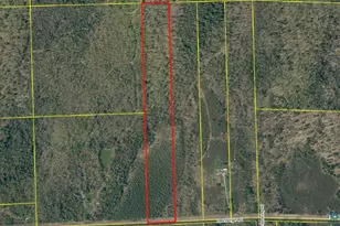 76Xxx Weinberger Rd, Butternut, WI 54514 - Photo 1