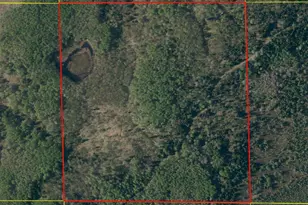 40 Acres Near Chippewa Lake Rd, Butternut, WI 54515 - Photo 1