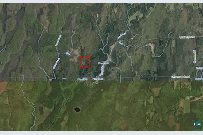 40 Acres Near Chippewa Lake Road, Butternut, WI 54515 - Photo 3