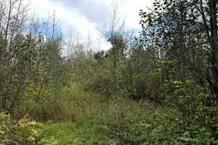 Tbd Trail Rd, Barnum, MN 55707 - Photo 1