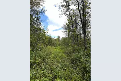 Tbd Trail Rd, Barnum, MN 55707 - Photo 5