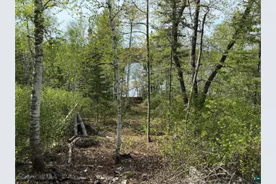 Tbd Moose Creek Tr, Ely, MN 55731 - Photo 13