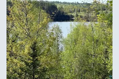 Tbd Moose Creek Tr, Ely, MN 55731 - Photo 9