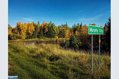 Xxxx Hwy 1, Finland, MN 55603 - Photo 3