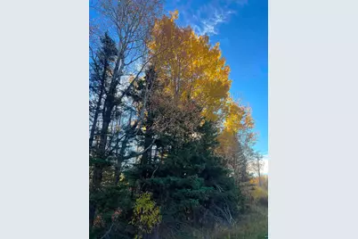 Xxxx Hwy 1, Finland, MN 55603 - Photo 1