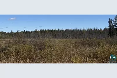 Tbd Nett Lake Rd, Orr, MN 55771 - Photo 9