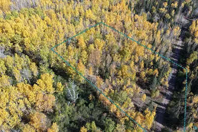 Xxx Timberwolf Ln, Grand Marais, MN 55604 - Photo 5