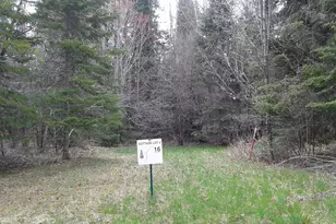 Xxxxx Meadow Trail, Cornucopia, WI 54827 - Photo 1