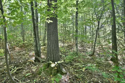 Lot 2 County Hwy C, Cornucopia, WI 54827 - Photo 1