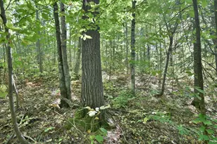 Lot 2 County Hwy C, Cornucopia, WI 54827 - Photo 1