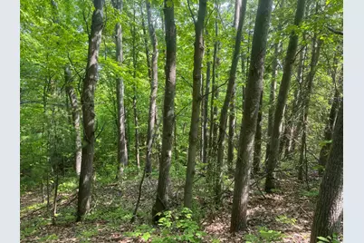 Tbd N 6th St, Bayfield, WI 54814 - Photo 1