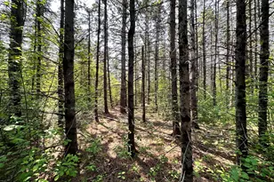 Xxx 17th Ave E, Ashland, WI 54806 - Photo 1